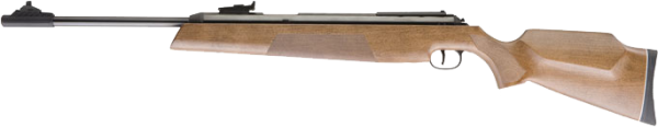 The RWS 54, with its recoilless powerplant, makes it easy to shoot a springer well.