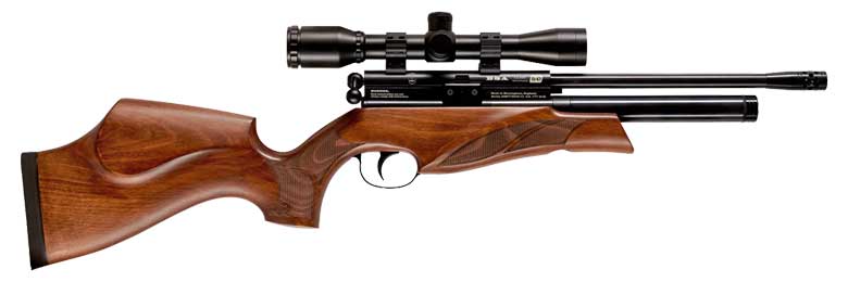 A Tiny Gem - The BSA Ultra PCP Air Rifle