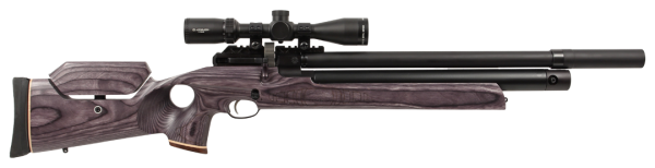 American Air Arms Evol Paradigm .30 18" with Thumbhole Grey Laminate stock