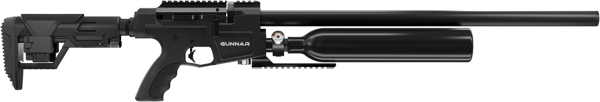Benjamin Gunnar .22 Air Rifle