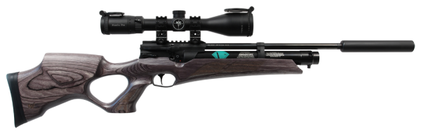 Weihrauch HW110 .22 Carbine Laminate W/ Long Tank & Bonded Moderator