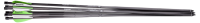 Benjamin Airbow Arrows (6-pack)