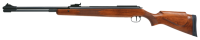Diana Model 460