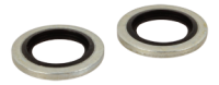 Pack of 2 1/4" BSP Bonded Washers